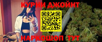 шишки Новокубанск