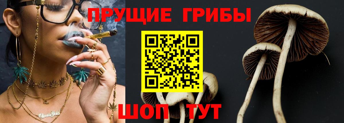 Галлюциногенные грибы Psilocybe  Вход с VPN  Буйнакск 